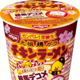 チキンラーメン in 好きなカップ麺 by mb5_satomi