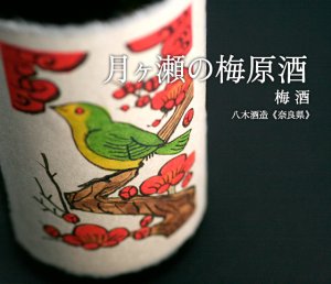 月ヶ瀬の梅原酒 in 好きな梅酒BEST5 by shiroume