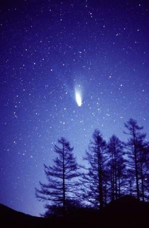 夜更かし in 好きなんて大きな声では言えないBEST5 by huwy0131