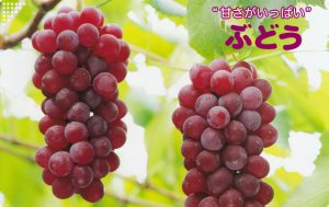 ブドウ in 好きなくだものBEST5 by miz_i