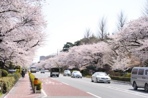 国立 in 好きな街BEST5 by ucsn89