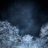 真冬の深夜 in  by vloioly