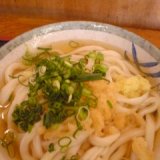 さぬきうどんのひやひや in 好きな麺類 by tayutahu