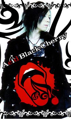 Acid Black Cherry in 好きなアーティストBEST5 by DokonjyoDaikon