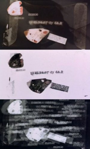 ミミック('97) in 好きなギレルモ･デル･トロ作品BEST5 by t_kaketaka